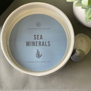 Chesapeake Bay 3-Wick Sea Minerals Candle